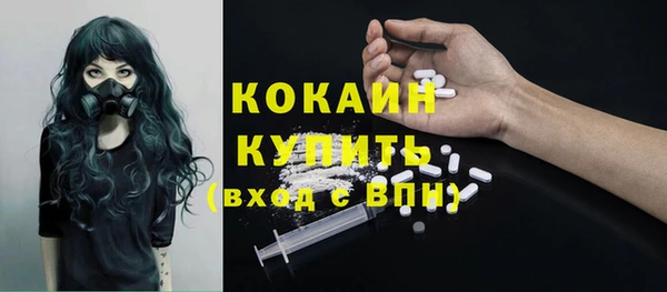 мет Алексин