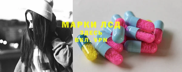 мет Алексин