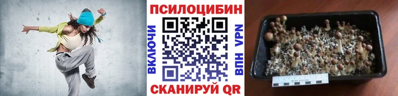 купить   Артём  Галлюциногенные грибы Magic Shrooms 